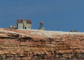 Rocher aux Oiseaux (Bird Rock) Lighthouse