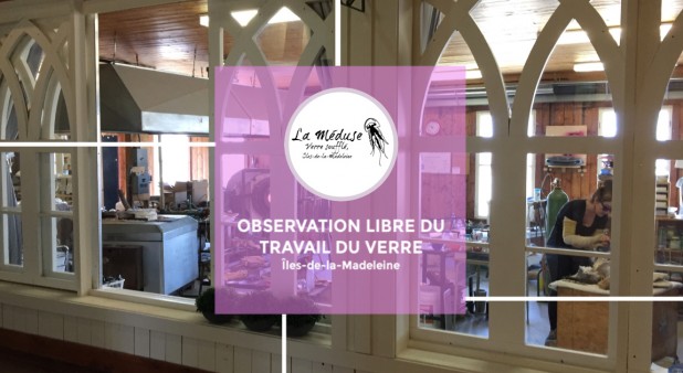 Observation - La Méduse