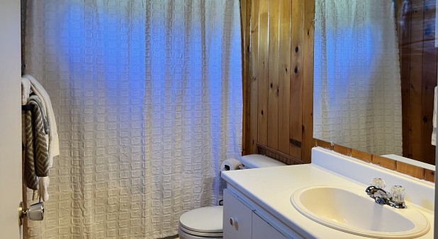 Bathroom - Shower tub