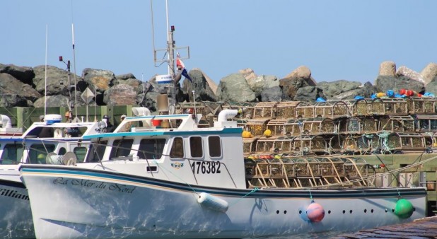 Les bateaux sont parés pour la pêche aux homards