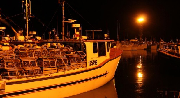 Le départ pour la pêche sera bientôt donné