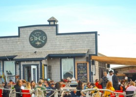 La Shed Surf Bar