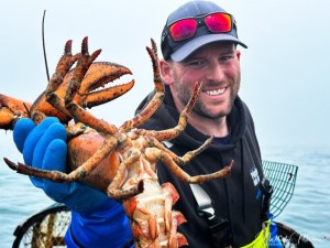 Pêche au homard commerciale