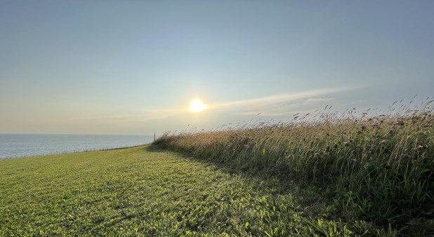 Promotion du printemps 2025 / Maison des Îles