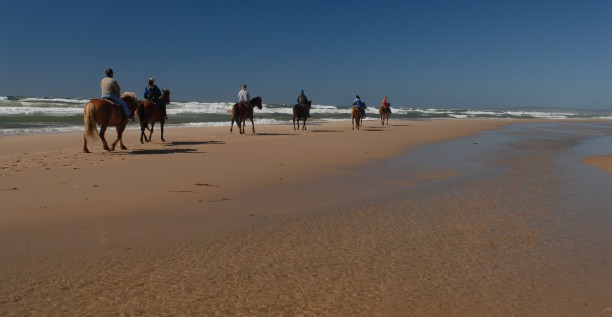 Horseback Riding