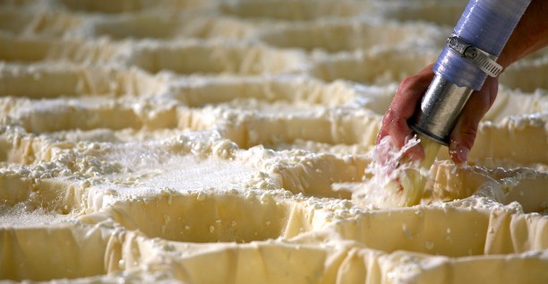 Authentic Cheese-Making Experience